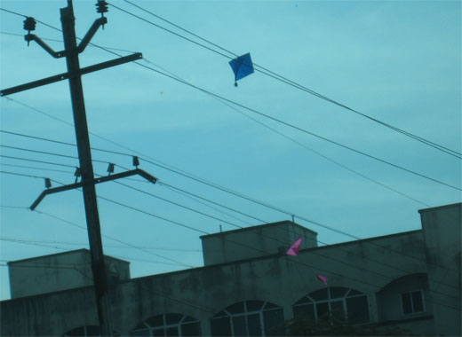 kitefight.jpg