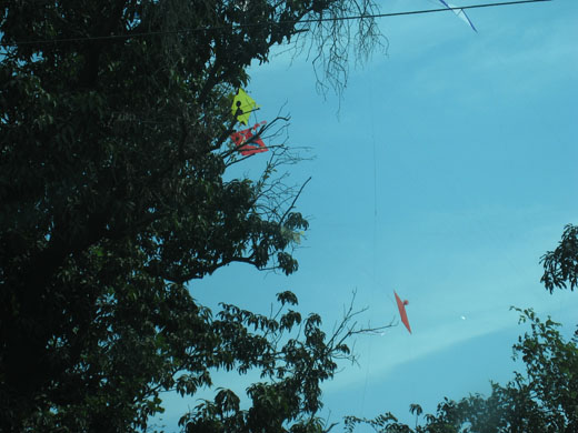 kitefight2.jpg