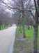 Photo Number 13