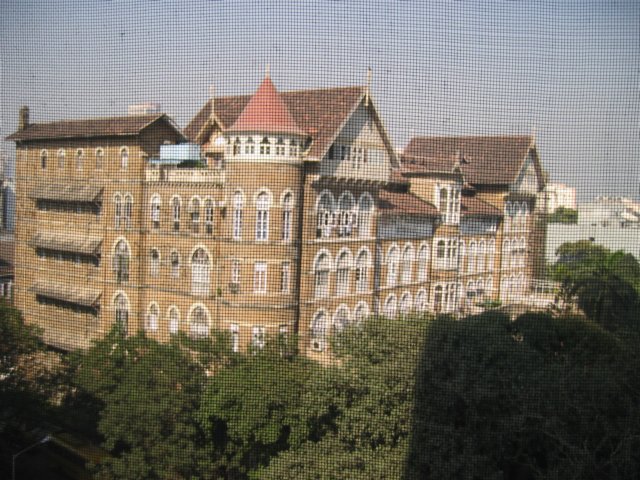 Photograph